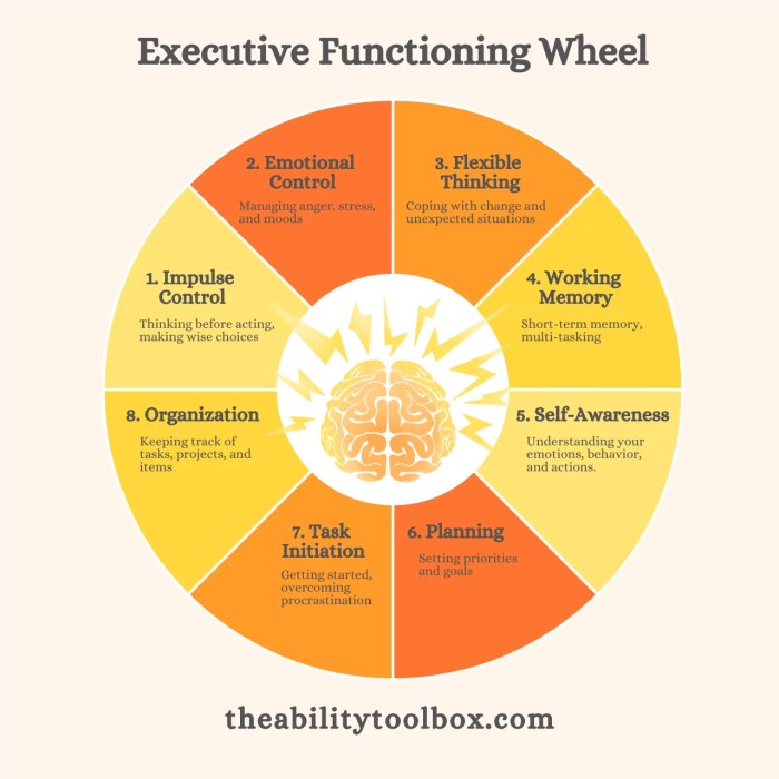 👉😊What Are the Executive Functioning Skills? We Explain.👈 What is a functioning alcoholic