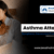 Severe Asthma Attack Recovery Time A Guide