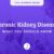 Facts About Chronic Kidney Disease A Comprehensive Guide