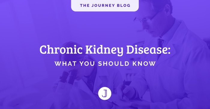 Facts about chronic kidney disease