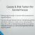 Herpes Causes Risk Factors Explained