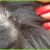 Scalp Massage for Hair Growth Your Guide