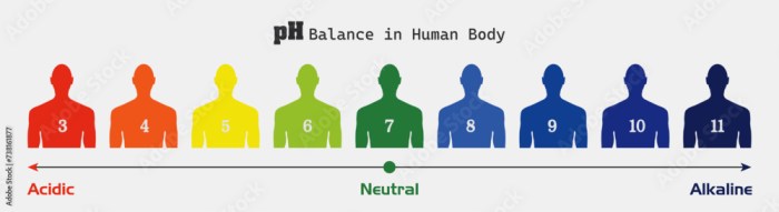 Ph balance significance function associated conditions