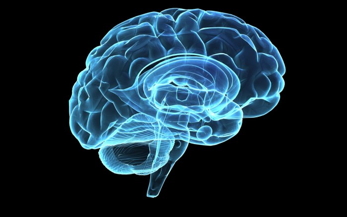 5 Interesting Facts About Your Brain And Memory Brain activity after cardiac arrest