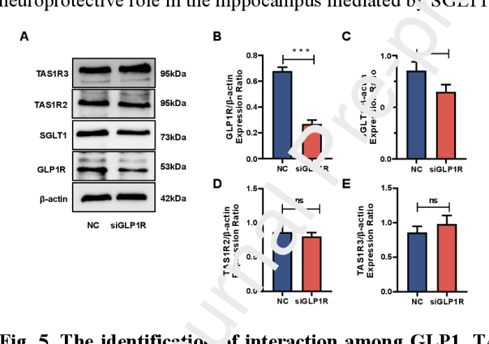 The mechanism and efficacy of GLP-1 receptor agonists in the treatment ... Could glp 1s treat alzheimers
