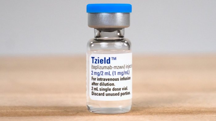 A complete guide to type 1 diabetes medications