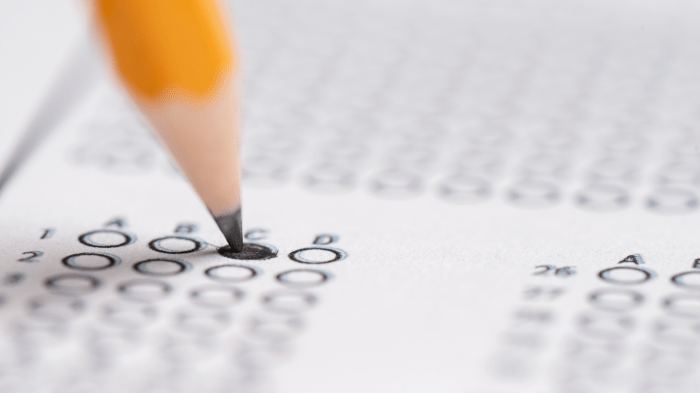 How to test for hashimotos disease