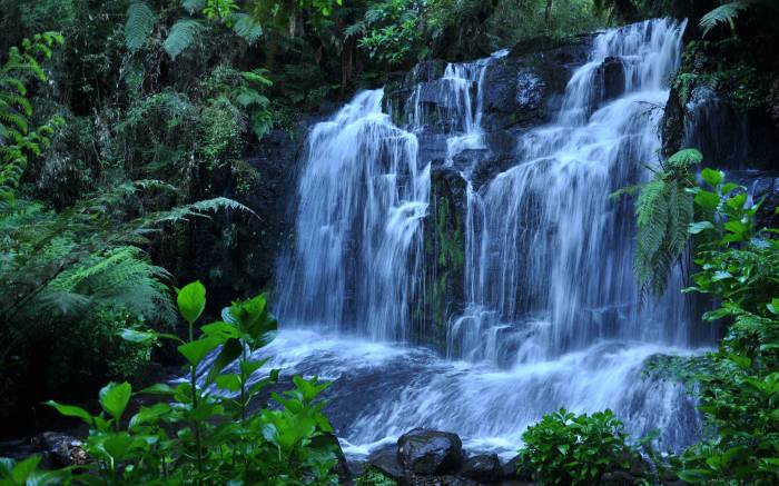 HD Beautiful Natural Wallpapers HD2015 - Wallpaper Cave Natural remedies for toothache