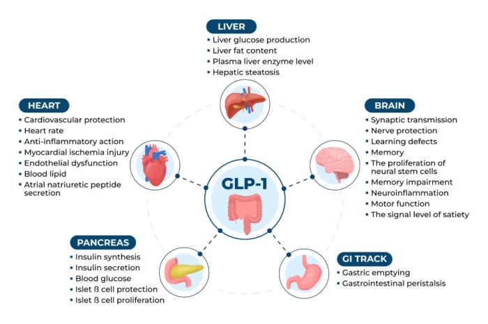 GLP-1 Shortages Ending A New Dawn