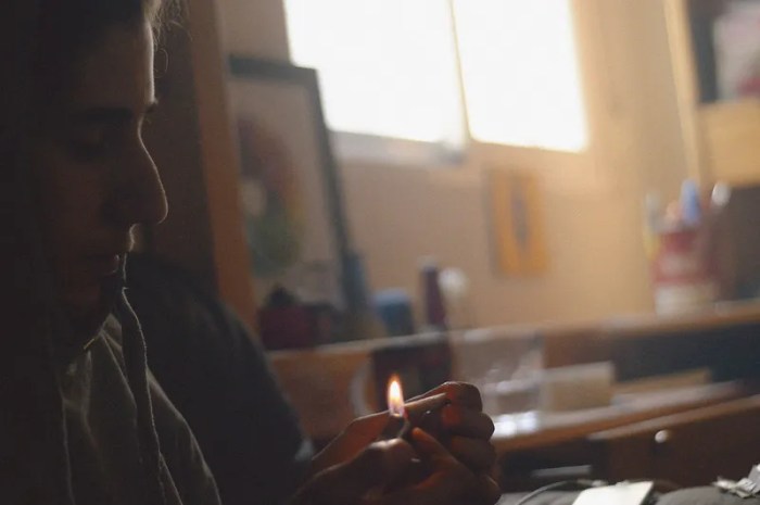 Safest Way to Smoke Weed | Beaver Seeds Are vaporizers the safest way to smoke weed