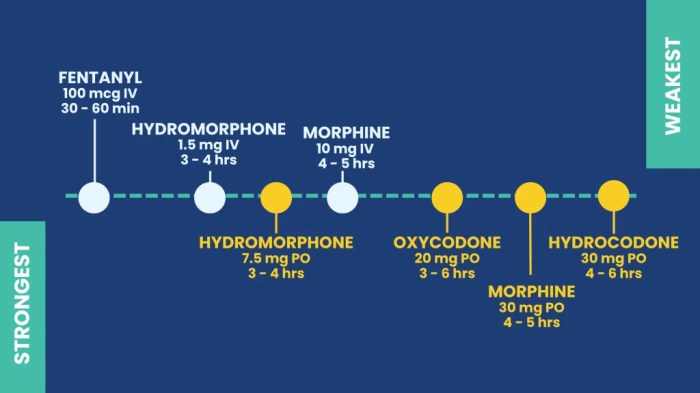 Which Pain Medicine Should I Take? | Bon Secours Blog How often should i takegive pain medications
