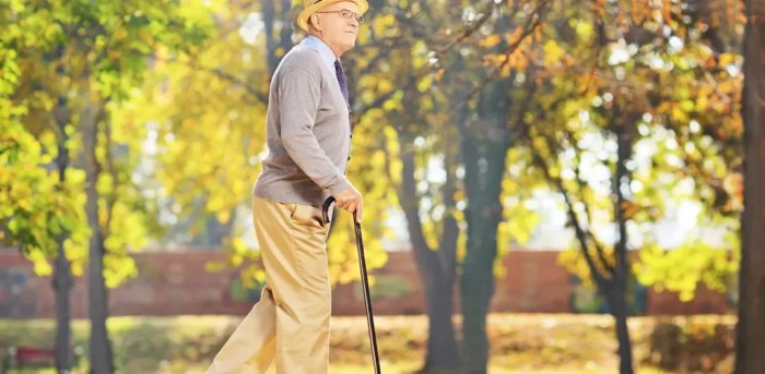 mobility aids Buy mobility aids in Mumbai Maharashtra India from Vissco Rehabilitation Aids Pvt ... Mobility aids with fibromyalgia