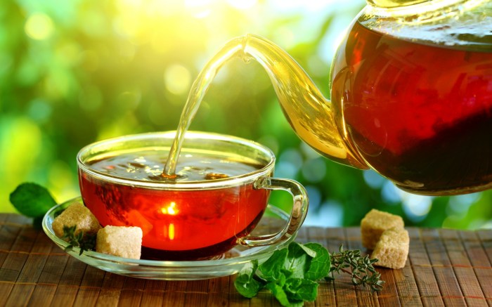 Tea for fibromyalgia chronic fatigue syndrome