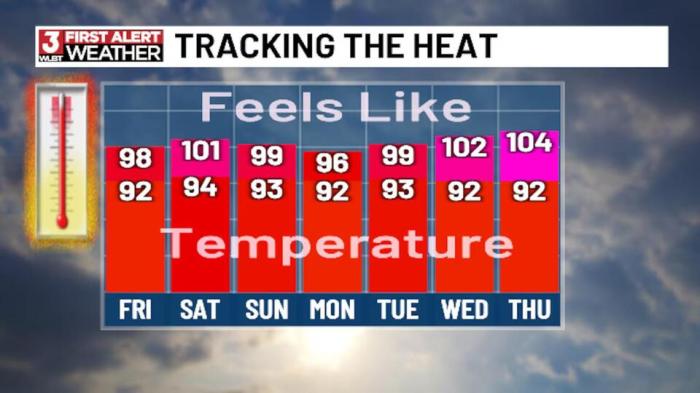 First Alert Forecast - NewsBreak First aid kit medicine cabinet drugs