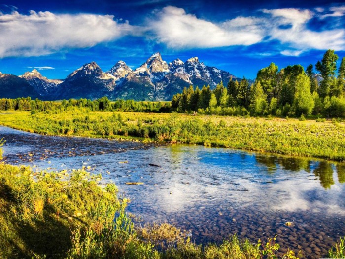 Beautiful Nature Scenery Wallpaper (56+ images) Natural remedies for toothache