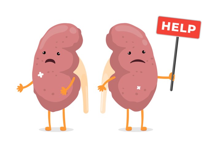 Causes of Kidney Damage | PainScale How renal cell carcinoma is treated