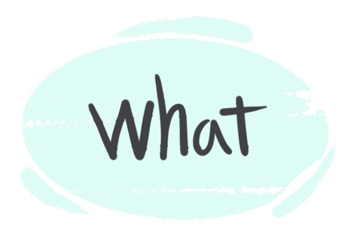 Whats new in rsv protection