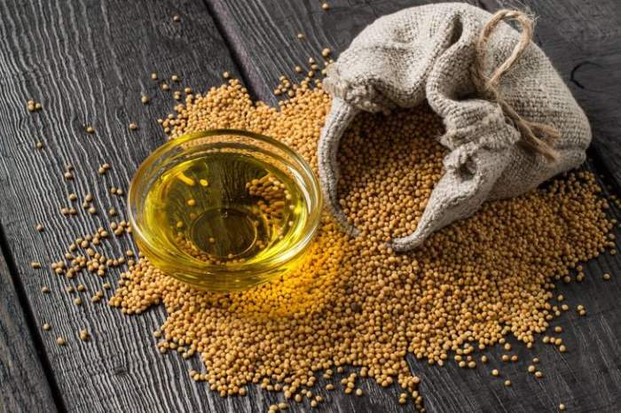 Home Remedies for Bronchitis A Natural Approach
