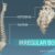 What is a Bone Scan for Cancer? Unveiling the Details