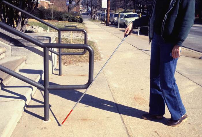 The functional independence measurement