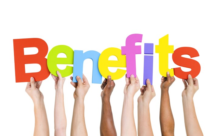 The benefits of ferulic acid