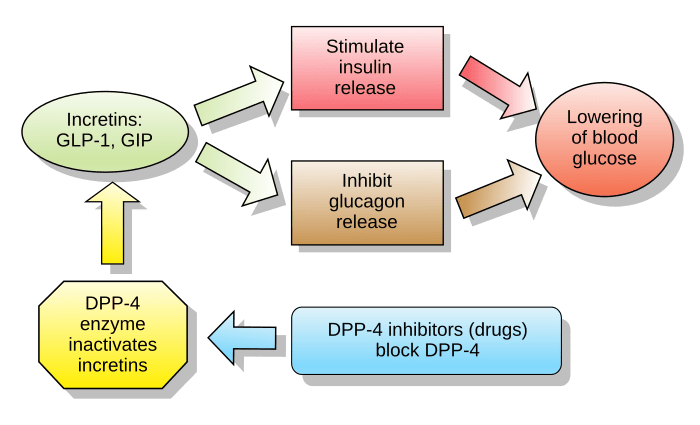 Glp 1s and mental health