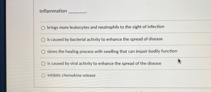 High Neutrophils, Low Lymphocytes What it Means