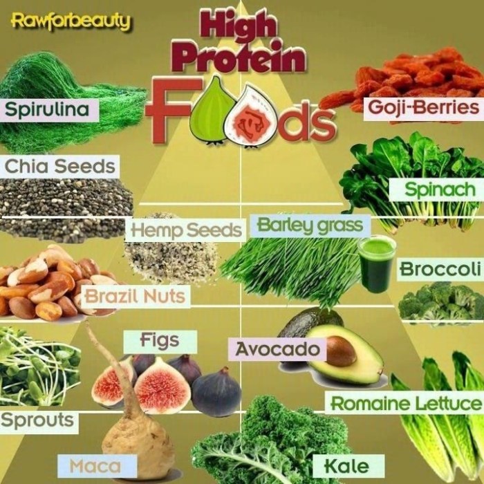 High Protein High Fiber Foods Your Guide to a Healthy Diet