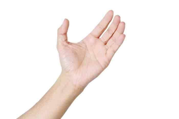 Hand Palms, Hand, Palm, Human Hand PNG Transparent Clipart Image and PSD File for Free Download Hand pain causes treatment and when to see a doctor