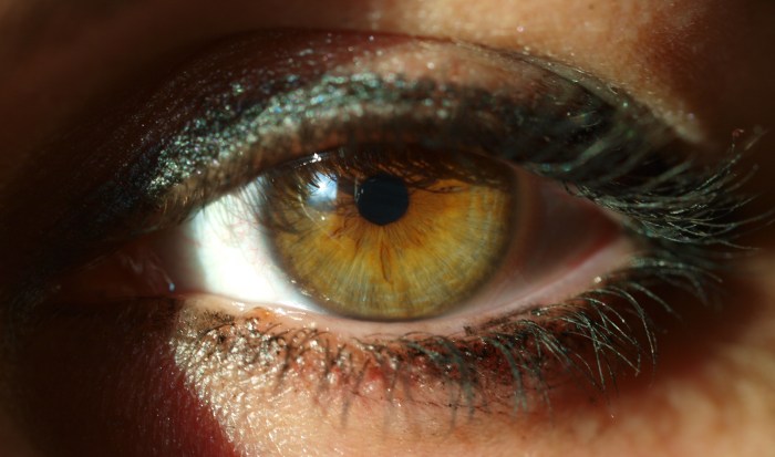 Structure of the Eye – MCAT Psychology | MedSchoolCoach Vitamins and minerals for eye health