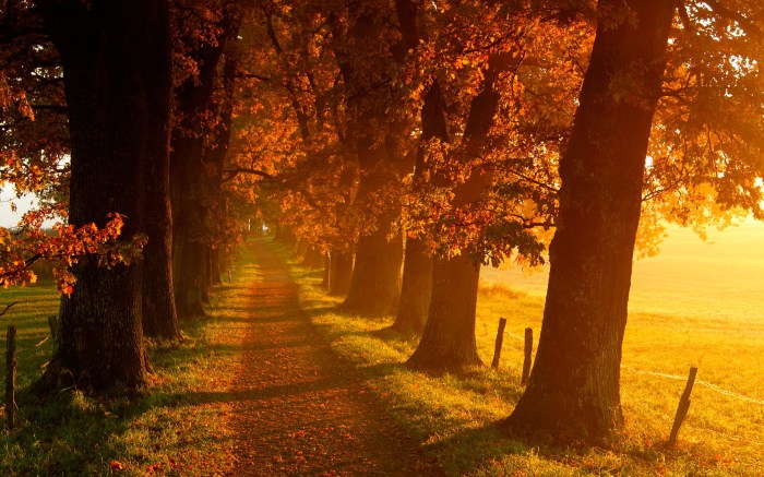 Fall produce for heart health