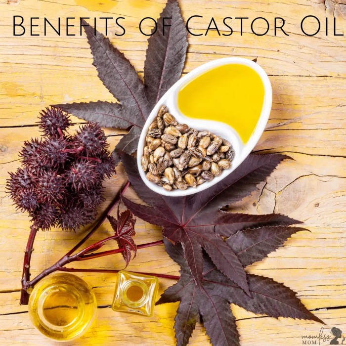 Castor Oil Benefits : Surprising Benefits of Castor Oil for Health and ... The benefits of castor oil