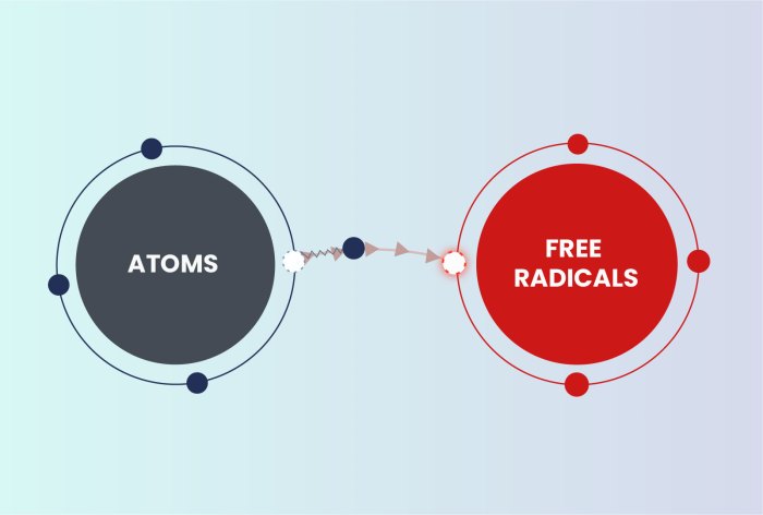 Healthy Habits Digest | What Are Free Radicals? Information about free radicals