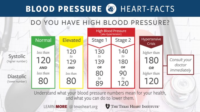 Blood Pressure Heart Rate Your Vital Signs Explained