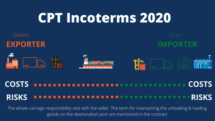 What are cpt codes