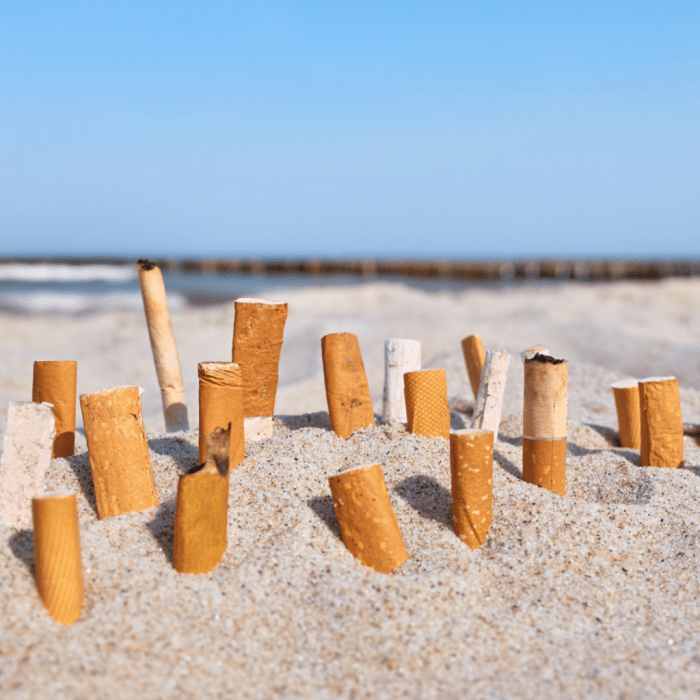 Things you can do to avoid microplastics