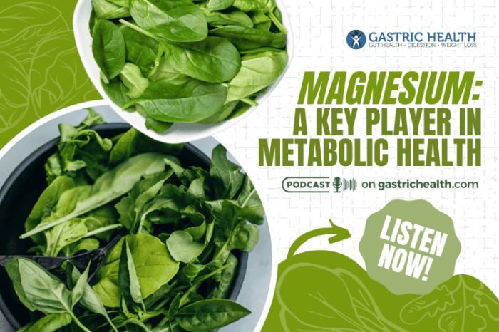 Magnesium and Metabolic Syndrome Study A Deep Dive
