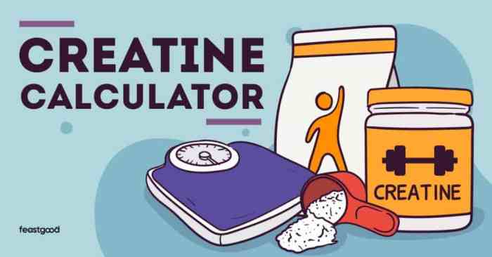Creatine Calculator: Find Your Daily Creatine Intake – Fitness Volt How much creatine per day