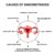 Bladder Problems in Endometriosis A Deep Dive