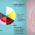 Vaginal Discharge Color Guide A Deep Dive