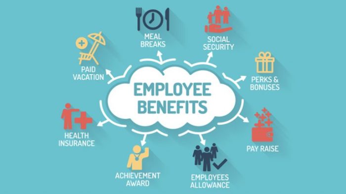 The Comprehensive Guide to Employee Benefits | AttendanceBot The benefits of lactase supplements