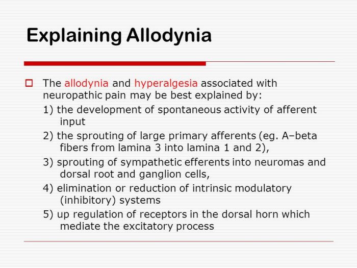 Pathophysiology of Pain - ppt download Allodynia definition and types fibromyalgia