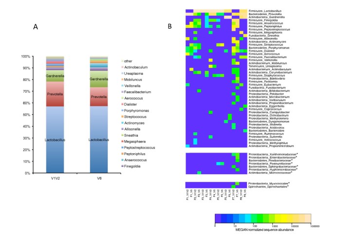 The Urinary Microbiome in Postmenopausal Women With Recurrent Urinary ... Uti recurrence and gut microbiome