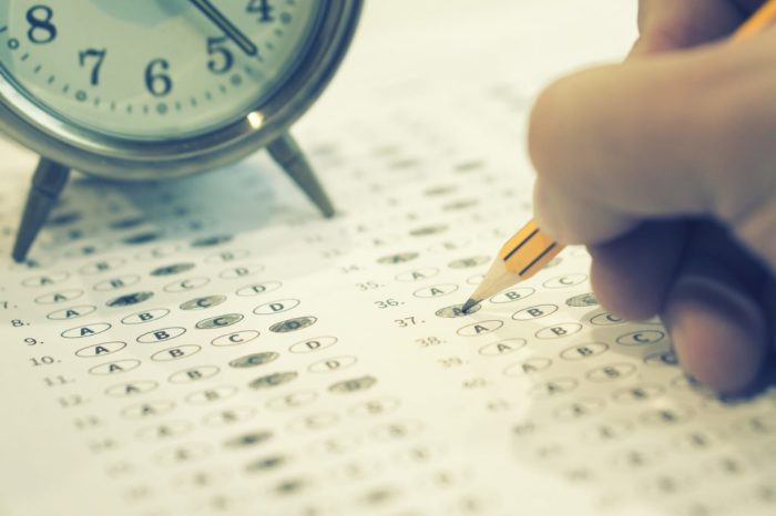 How to test for hashimotos disease
