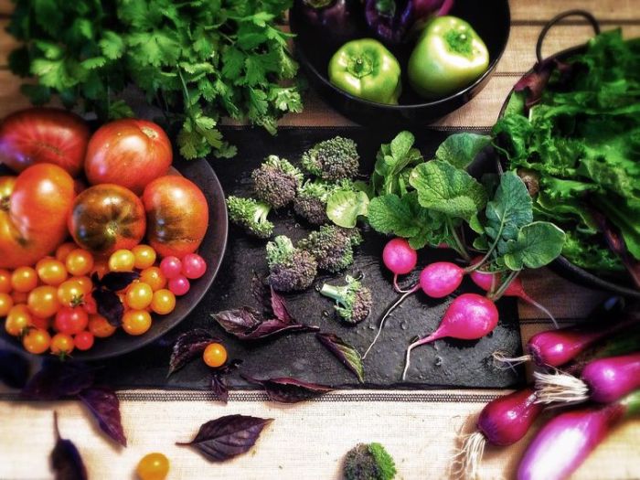 The longevity diet plan overview