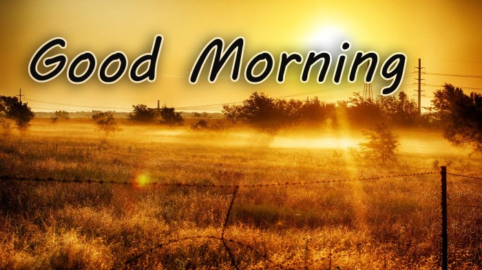 Good Morning Wishes,Good Morning Greetings,E-card,Good Morning Whatsapp ... Morning wood erectile dysfunction