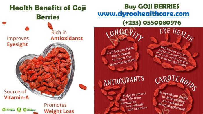 Goji berry health benefits