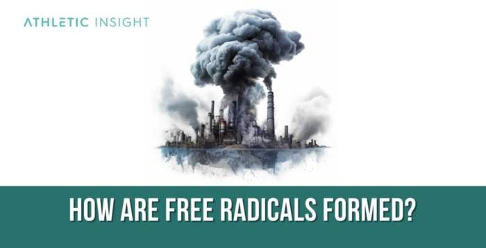 Free Radicals: Definition, Impact on the Human Body, and Strategies for ... Information about free radicals