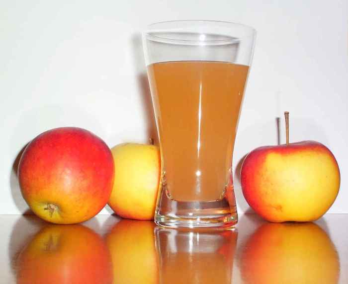How much apple cider vinegar a day