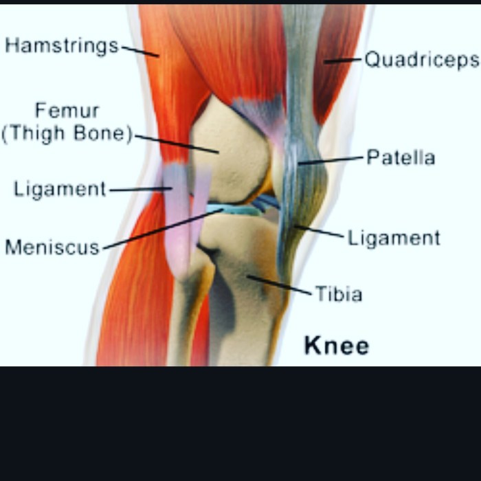 Knee Pain When Walking Understanding the Causes